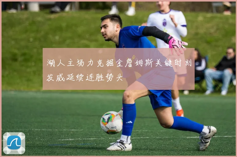 湖人主场力克掘金詹姆斯关键时刻发威延续连胜势头