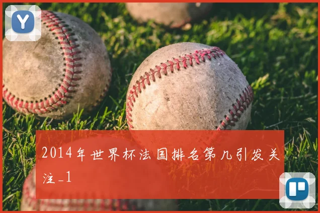 2014年世界杯法国排名第几引发关注_1