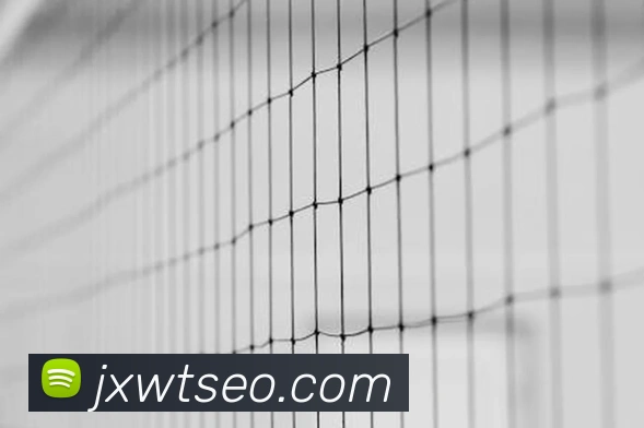 世界杯app官网平台生态图